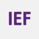 Icon IEF